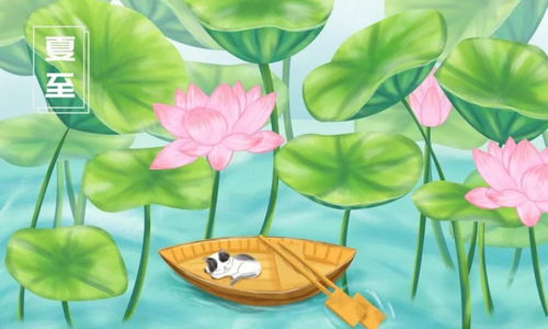 药海淘科技节气养生之夏至篇