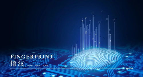 33,000英尺丨科技让户外更美